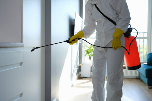 Best Commercial Mold Removal  in Brownfield, TX
