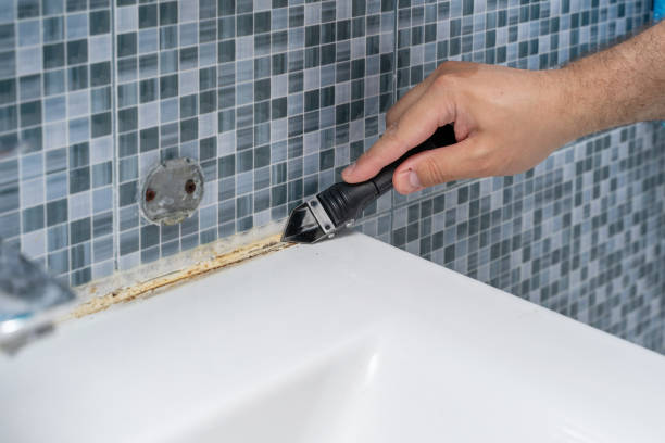 Best Best Mold Removal Companies  in Brownfield, TX