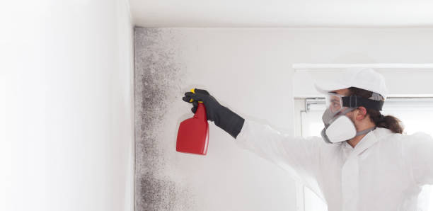 Best Emergency Mold Removal  in Brownfield, TX